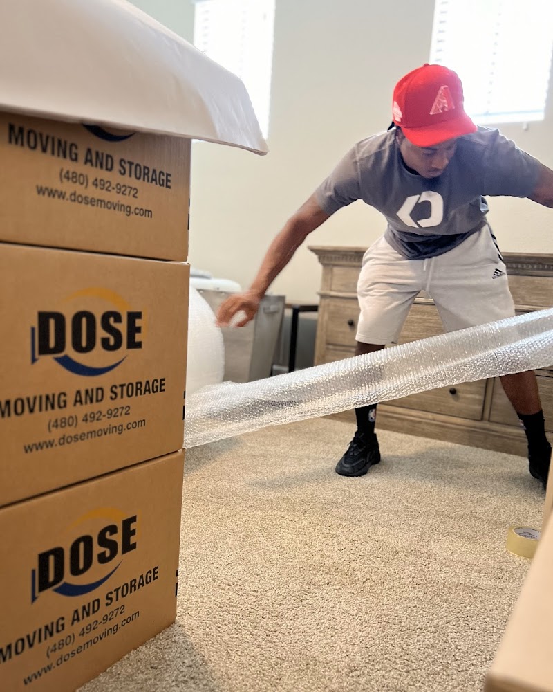 Dose Moving and Storage logo