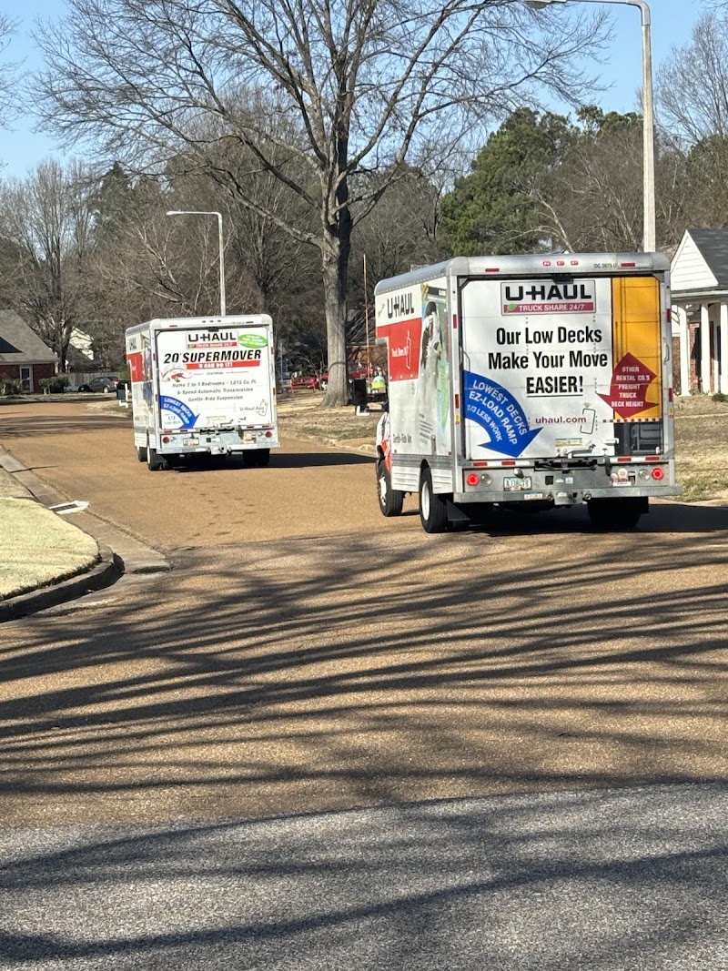 Sherpa Moving and Storage photo