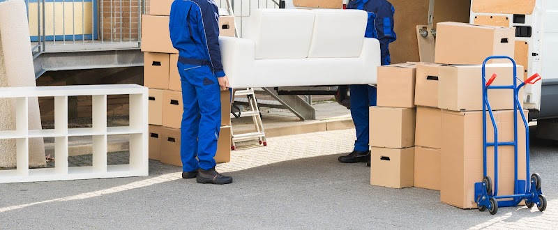 E&S Moving Co logo