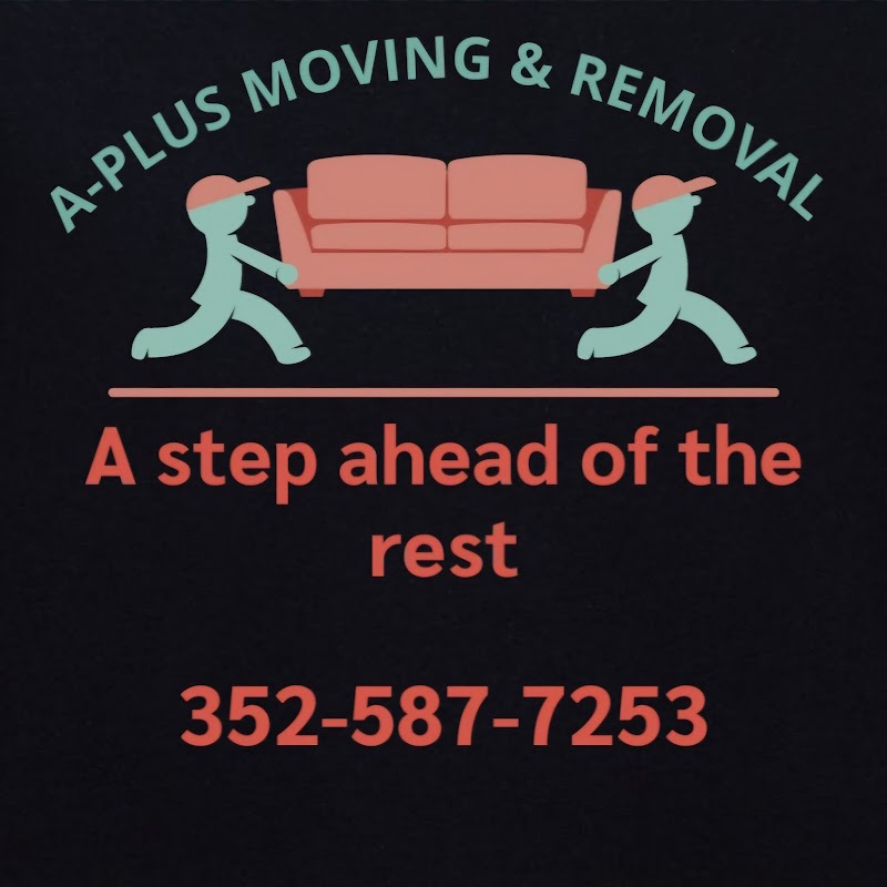 Aplus moving and removal photo