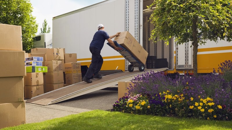 Movers Direct logo