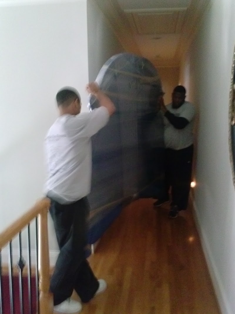 Golden pro movers photo