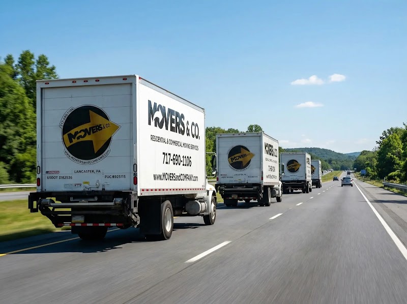 Movers & Co. logo
