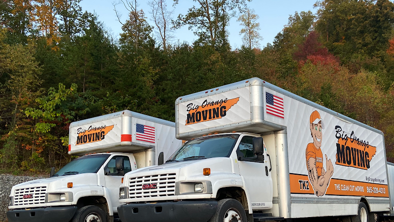 Big Orange Apartment Movers logo
