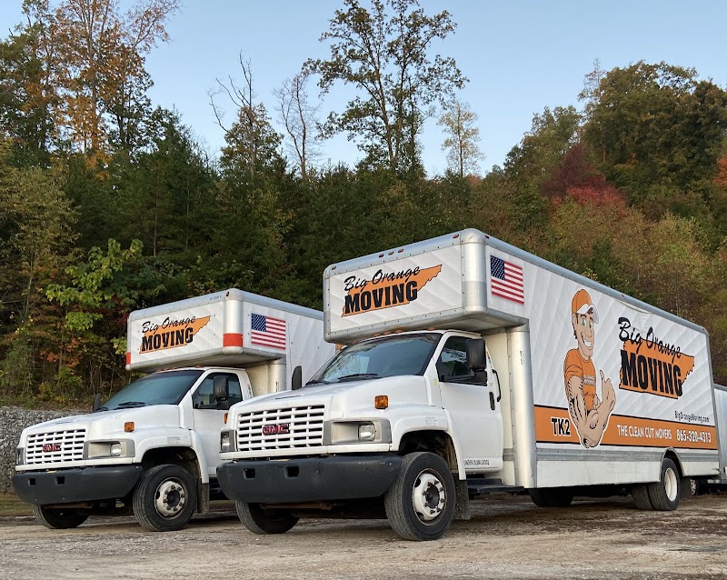 Big Orange Apartment Movers photo