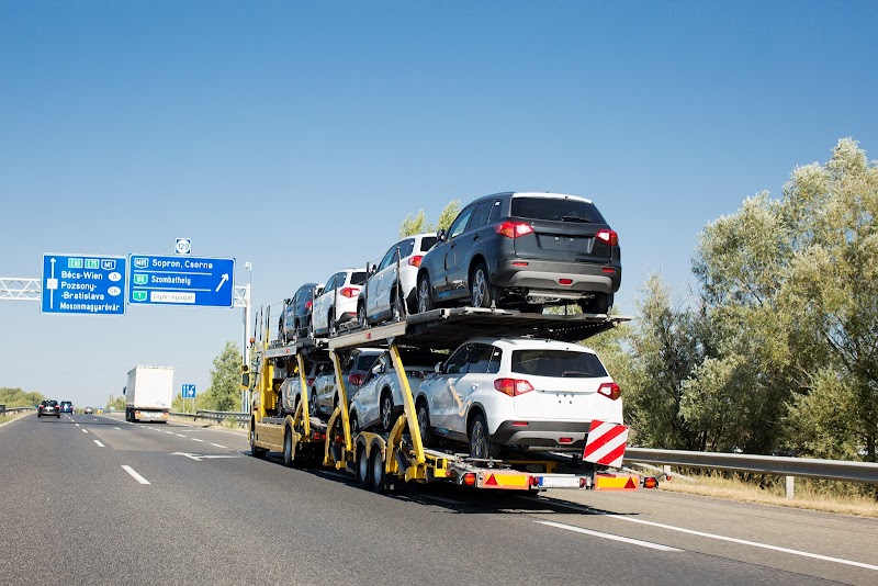 Metti International Vehicle Transport & Car Shipping photo