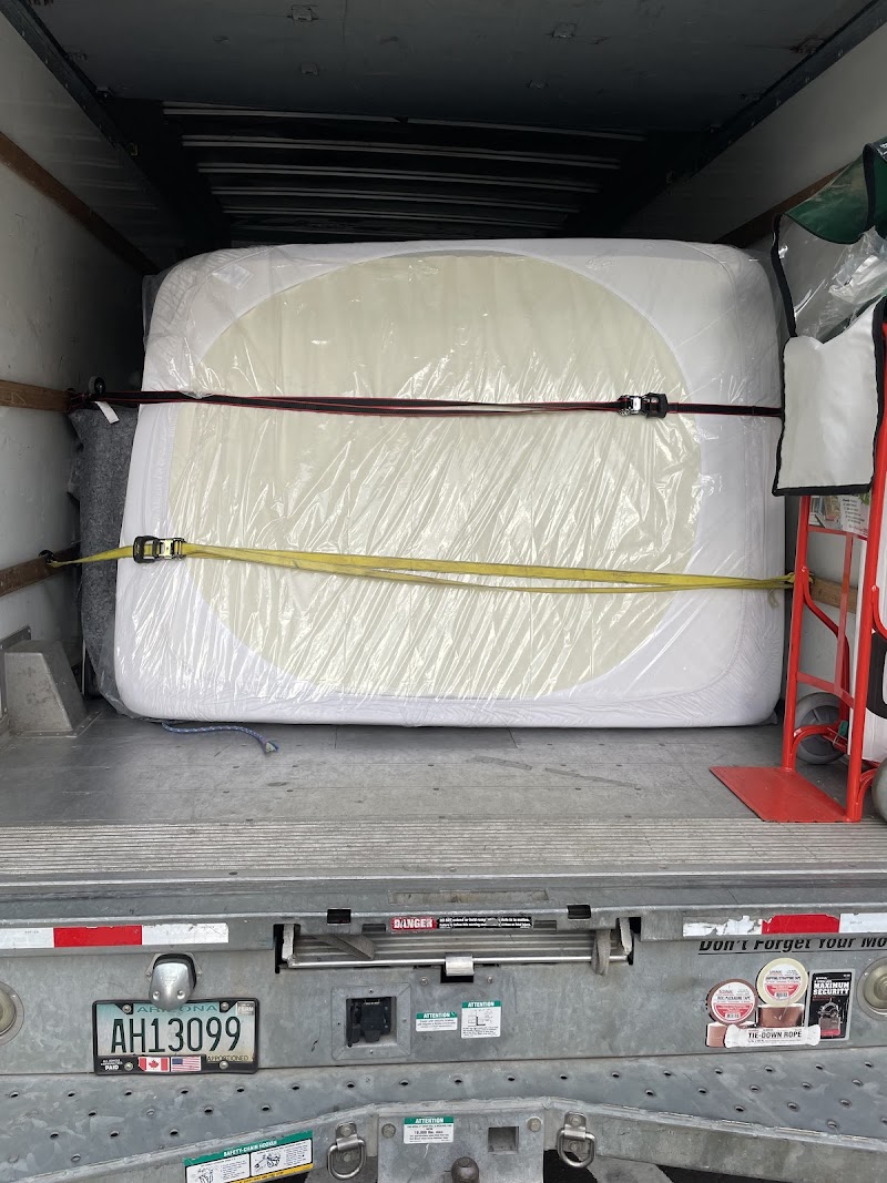 Expert Movers logo