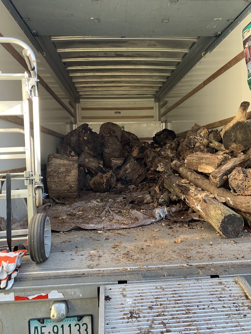 Coach Movers CT photo