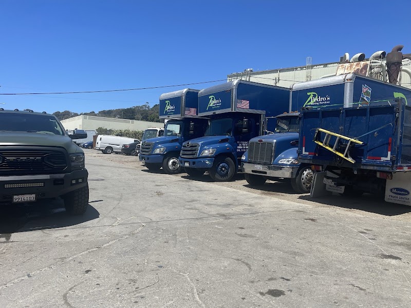 Pedro's Moving Services photo