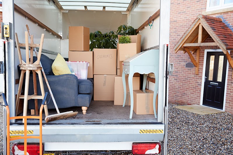 Virostick Moving & Storage logo