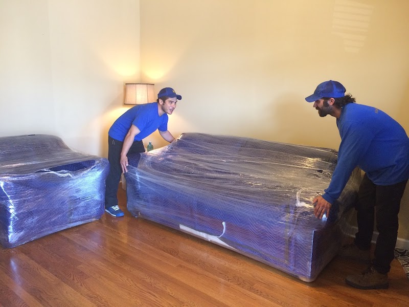 Marigold Movers logo