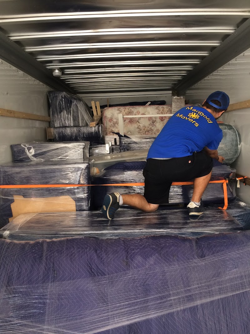 Marigold Movers photo