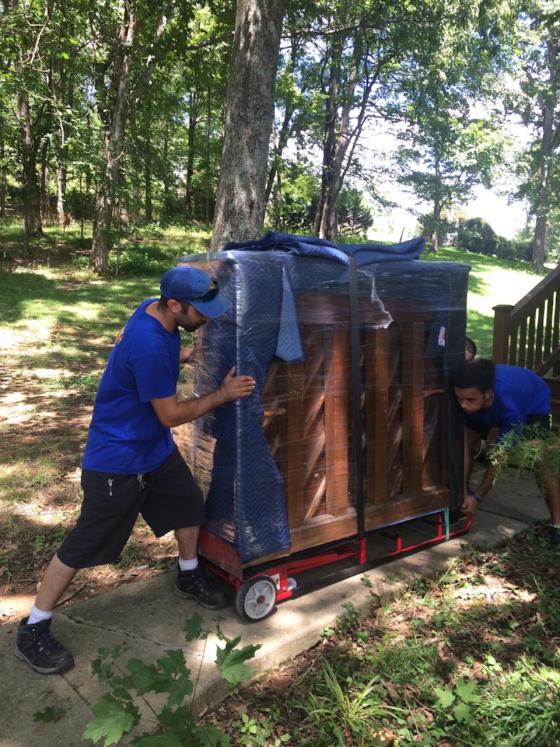 Marigold Movers photo
