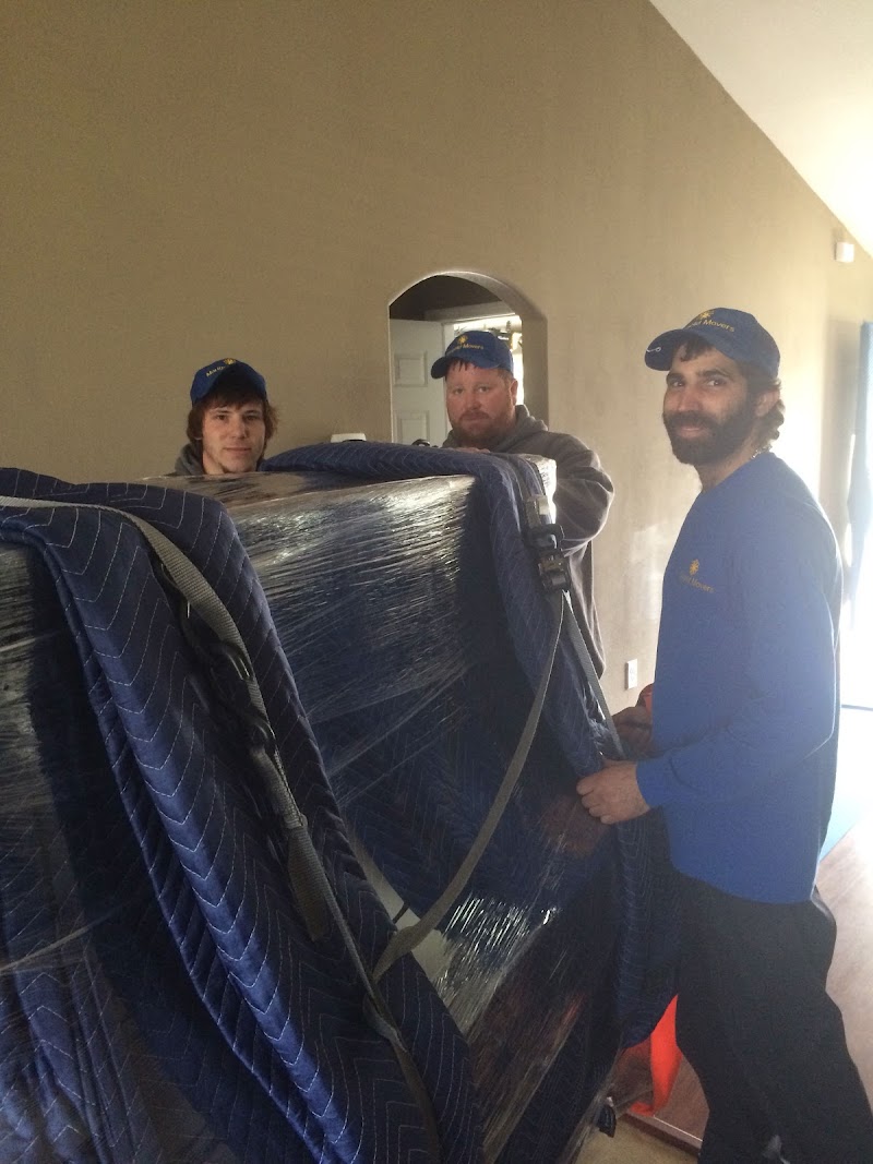 Marigold Movers photo