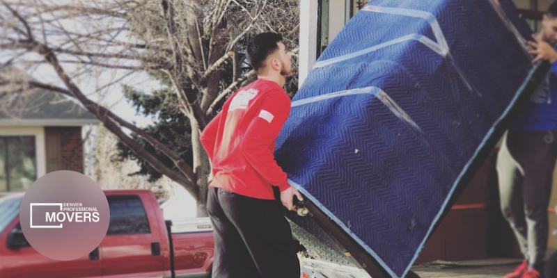 Denver Professional Movers logo