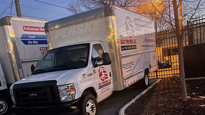 Ally Moving logo