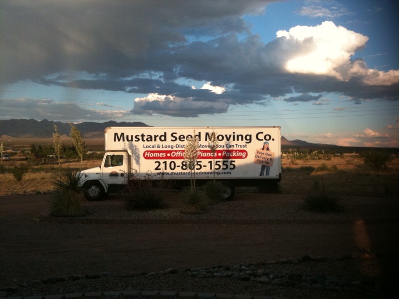 Mustard Seed Moving Company of San Antonio logo