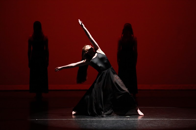 Moving Co Dance Center logo
